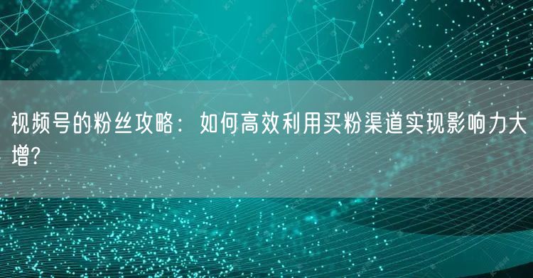 视频号的粉丝攻略：如何高效利用买粉渠道实现影响力大增?