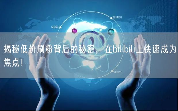 揭秘低价刷粉背后的秘密，在bilibili上快速成为焦点！