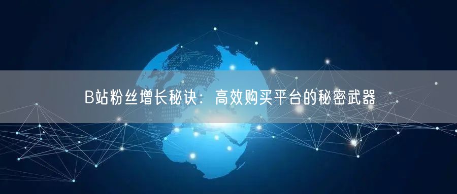B站粉丝增长秘诀：高效购买平台的秘密武器