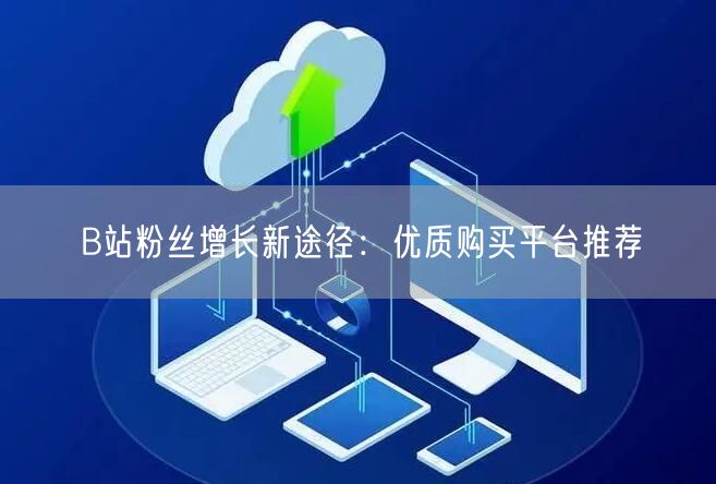 B站粉丝增长新途径：优质购买平台推荐