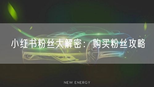 小红书粉丝大解密：购买粉丝攻略