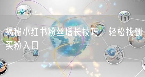 揭秘小红书粉丝增长技巧：轻松找到买粉入口