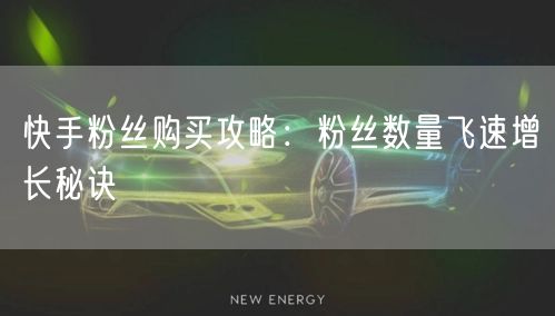 快手粉丝购买攻略：粉丝数量飞速增长秘诀