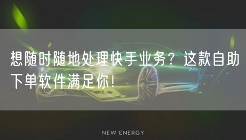 想随时随地处理快手业务？这款自助下单软件满足你！
