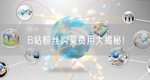 B站粉丝购买费用大揭秘！