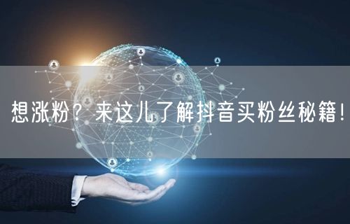 想涨粉？来这儿了解抖音买粉丝秘籍！