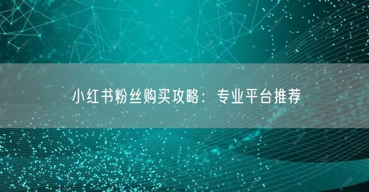 小红书粉丝购买攻略：专业平台推荐