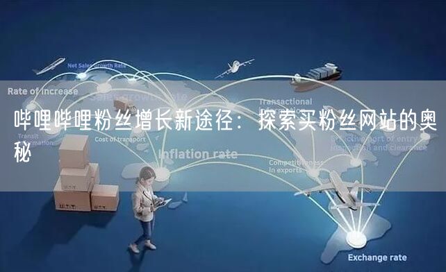 哔哩哔哩粉丝增长新途径：探索买粉丝网站的奥秘