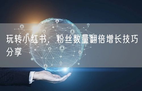 玩转小红书，粉丝数量翻倍增长技巧分享
