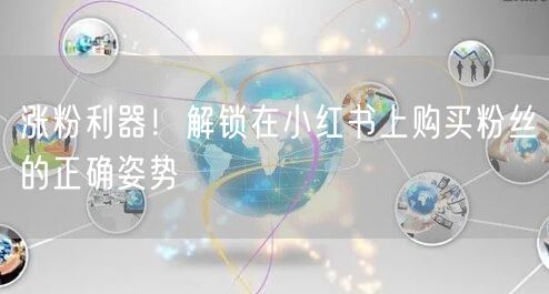 涨粉利器！解锁在小红书上购买粉丝的正确姿势