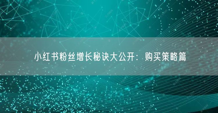 小红书粉丝增长秘诀大公开：购买策略篇