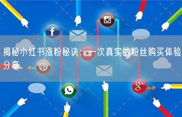 揭秘小红书涨粉秘诀：一次真实的粉丝购买体验分享