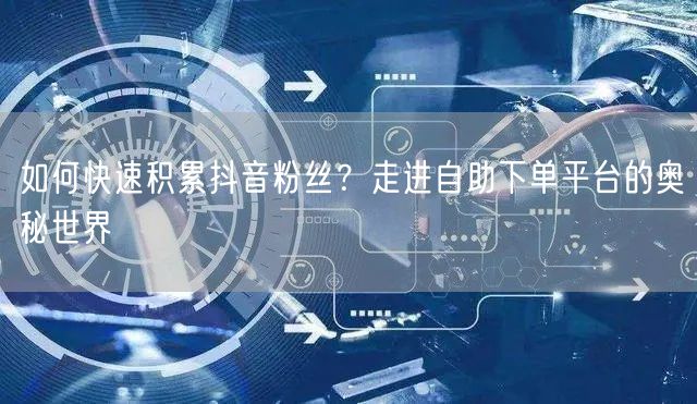 如何快速积累抖音粉丝？走进自助下单平台的奥秘世界