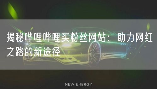 揭秘哔哩哔哩买粉丝网站：助力网红之路的新途径