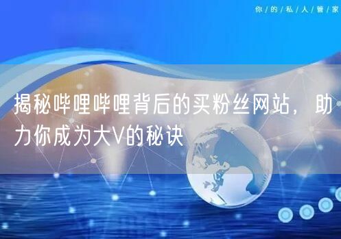 揭秘哔哩哔哩背后的买粉丝网站，助力你成为大V的秘诀