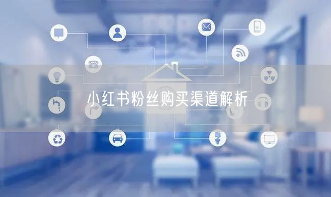 小红书粉丝购买渠道解析