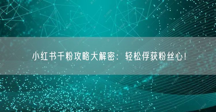 小红书千粉攻略大解密：轻松俘获粉丝心！