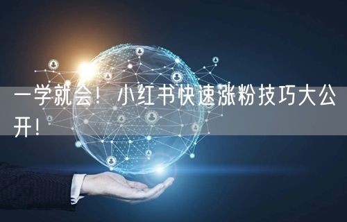 一学就会！小红书快速涨粉技巧大公开！