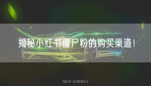 揭秘小红书僵尸粉的购买渠道！