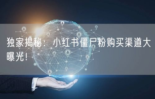 独家揭秘：小红书僵尸粉购买渠道大曝光！