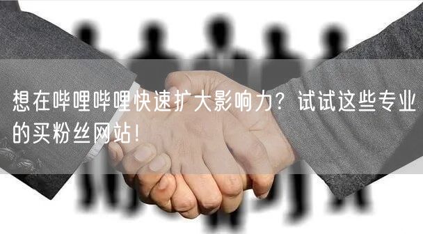 想在哔哩哔哩快速扩大影响力？试试这些专业的买粉丝网站！