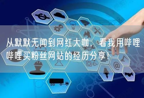 从默默无闻到网红大咖，看我用哔哩哔哩买粉丝网站的经历分享！