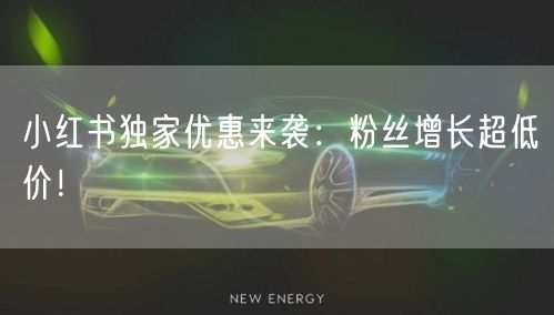 小红书独家优惠来袭：粉丝增长超低价！