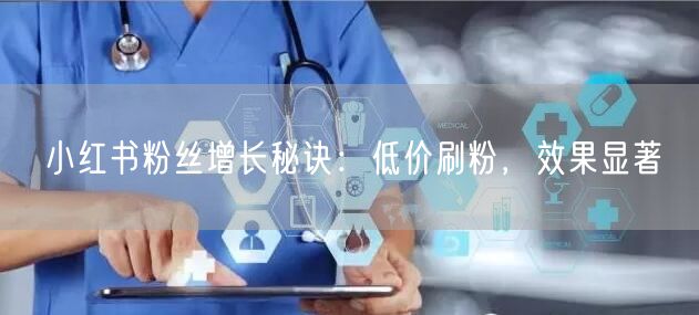 小红书粉丝增长秘诀：低价刷粉，效果显著