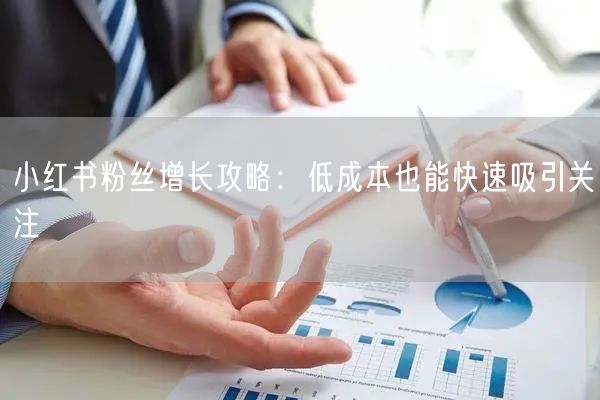 小红书粉丝增长攻略：低成本也能快速吸引关注