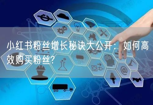 小红书粉丝增长秘诀大公开：如何高效购买粉丝?
