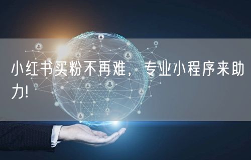 小红书买粉不再难，专业小程序来助力!