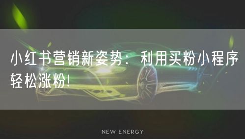 小红书营销新姿势：利用买粉小程序轻松涨粉!