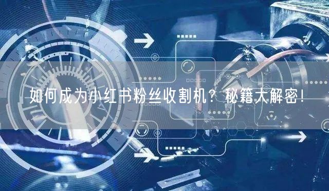 如何成为小红书粉丝收割机？秘籍大解密！
