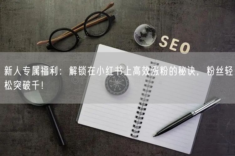 新人专属福利：解锁在小红书上高效涨粉的秘诀，粉丝轻松突破千！