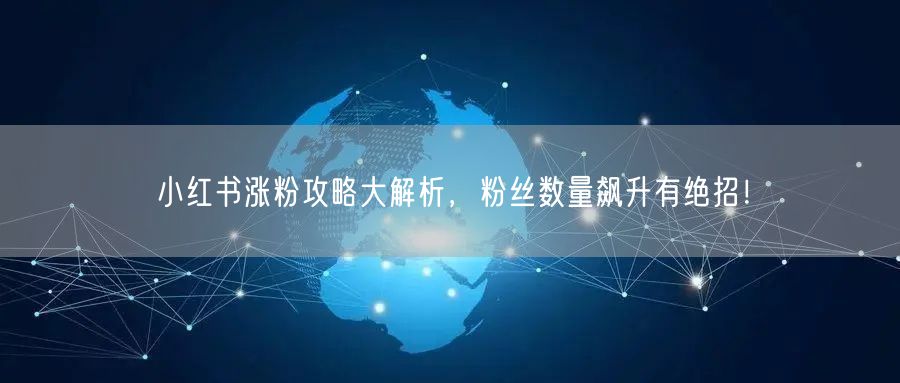 小红书涨粉攻略大解析，粉丝数量飙升有绝招！