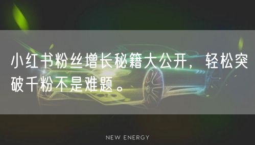 小红书粉丝增长秘籍大公开，轻松突破千粉不是难题。