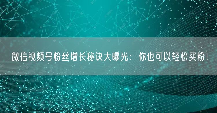 微信视频号粉丝增长秘诀大曝光：你也可以轻松买粉！