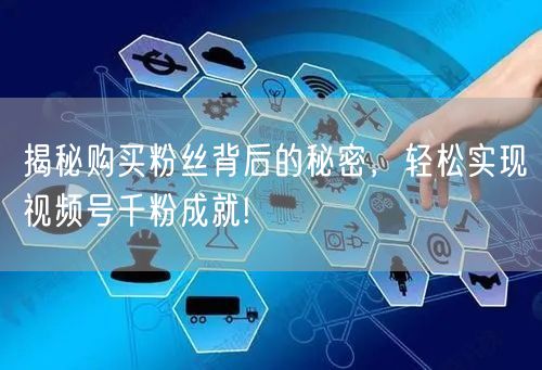 揭秘购买粉丝背后的秘密，轻松实现视频号千粉成就!
