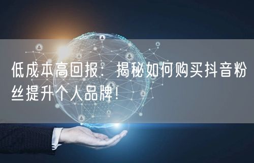 低成本高回报：揭秘如何购买抖音粉丝提升个人品牌！