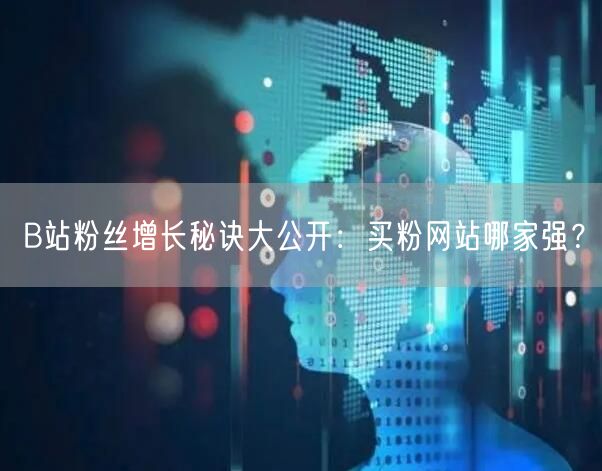 B站粉丝增长秘诀大公开：买粉网站哪家强？