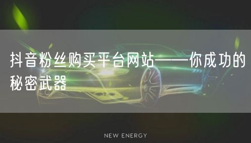 抖音粉丝购买平台网站——你成功的秘密武器