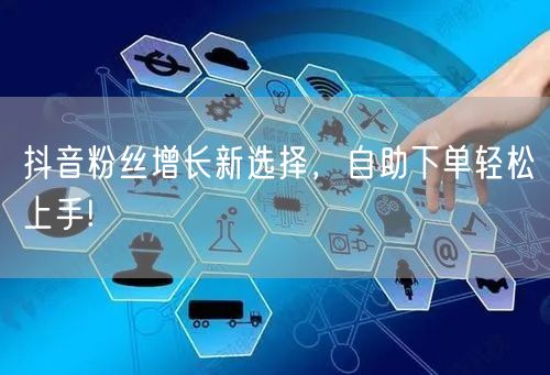 抖音粉丝增长新选择，自助下单轻松上手!