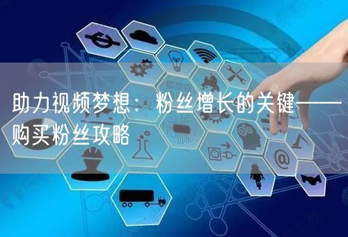 助力视频梦想：粉丝增长的关键——购买粉丝攻略