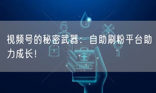 视频号的秘密武器：自助刷粉平台助力成长！