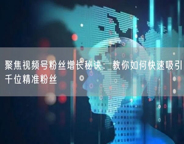 聚焦视频号粉丝增长秘诀：教你如何快速吸引千位精准粉丝