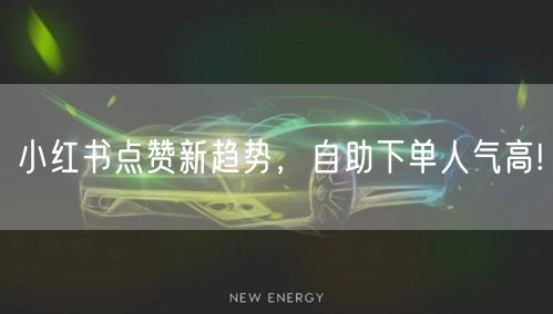 小红书点赞新趋势，自助下单人气高!