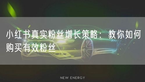小红书真实粉丝增长策略：教你如何购买有效粉丝