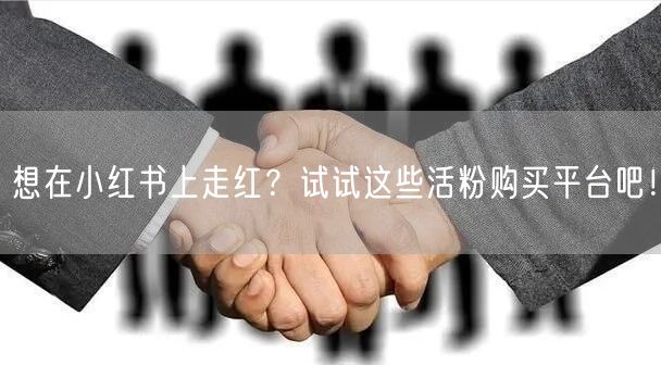 想在小红书上走红？试试这些活粉购买平台吧！