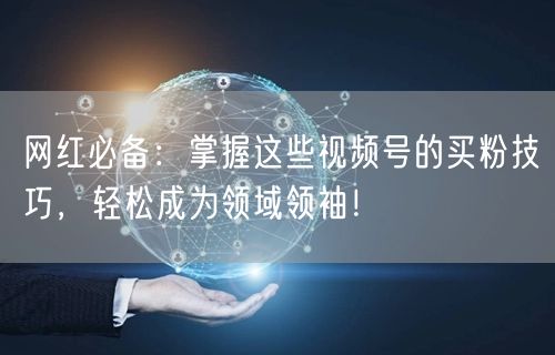 网红必备：掌握这些视频号的买粉技巧，轻松成为领域领袖！