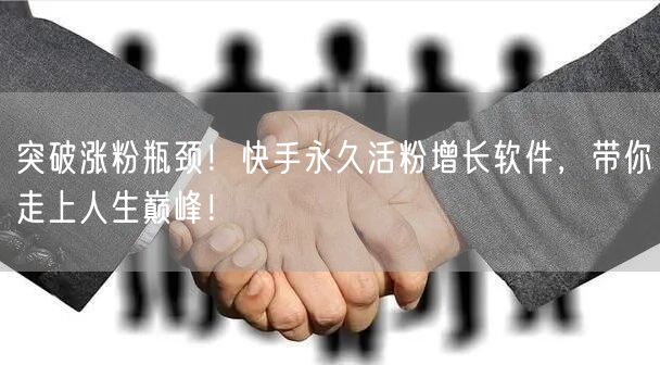 突破涨粉瓶颈！快手永久活粉增长软件，带你走上人生巅峰！